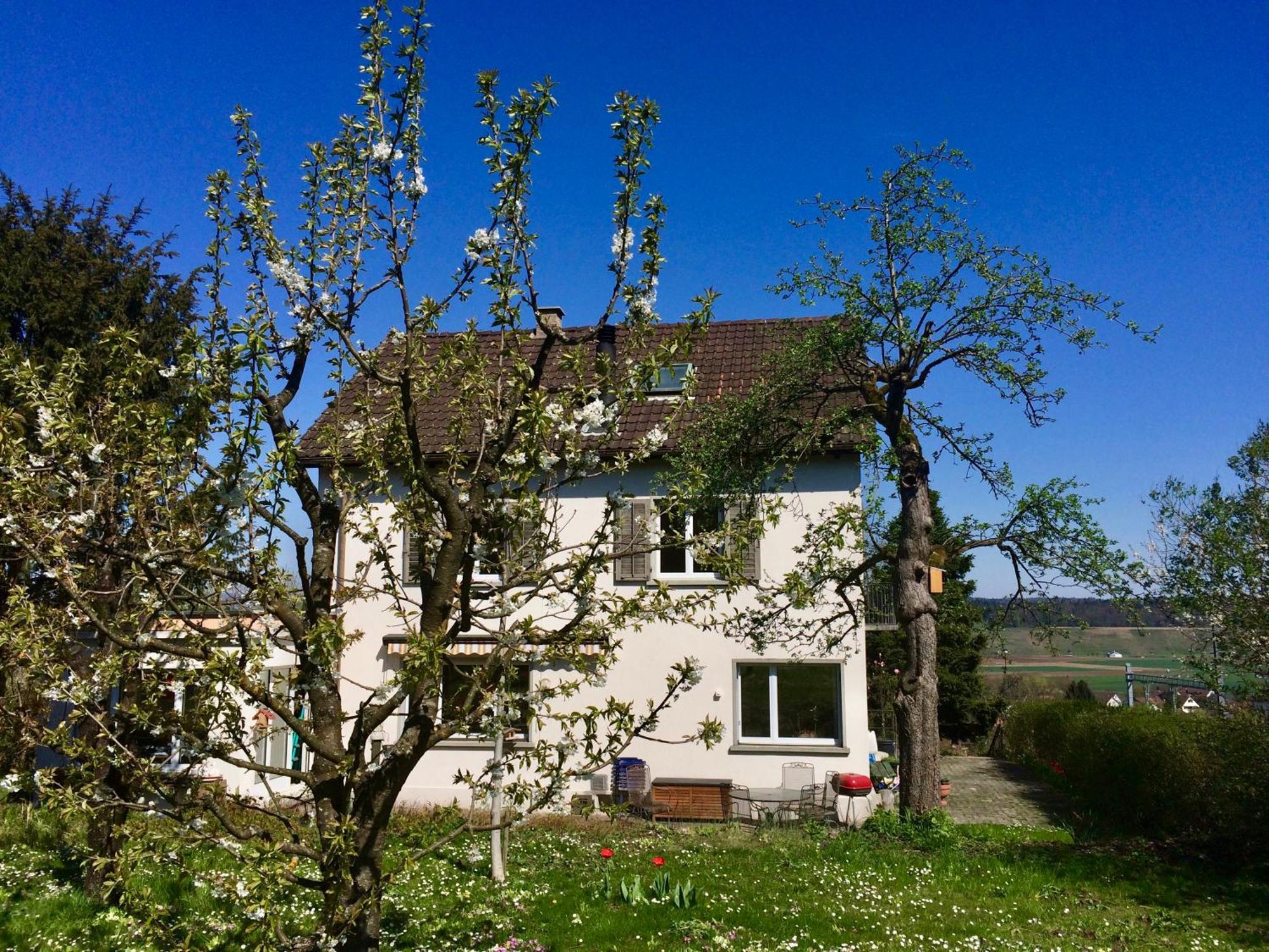 Guntli'S Family Guesthouse Andelfingen المظهر الخارجي الصورة