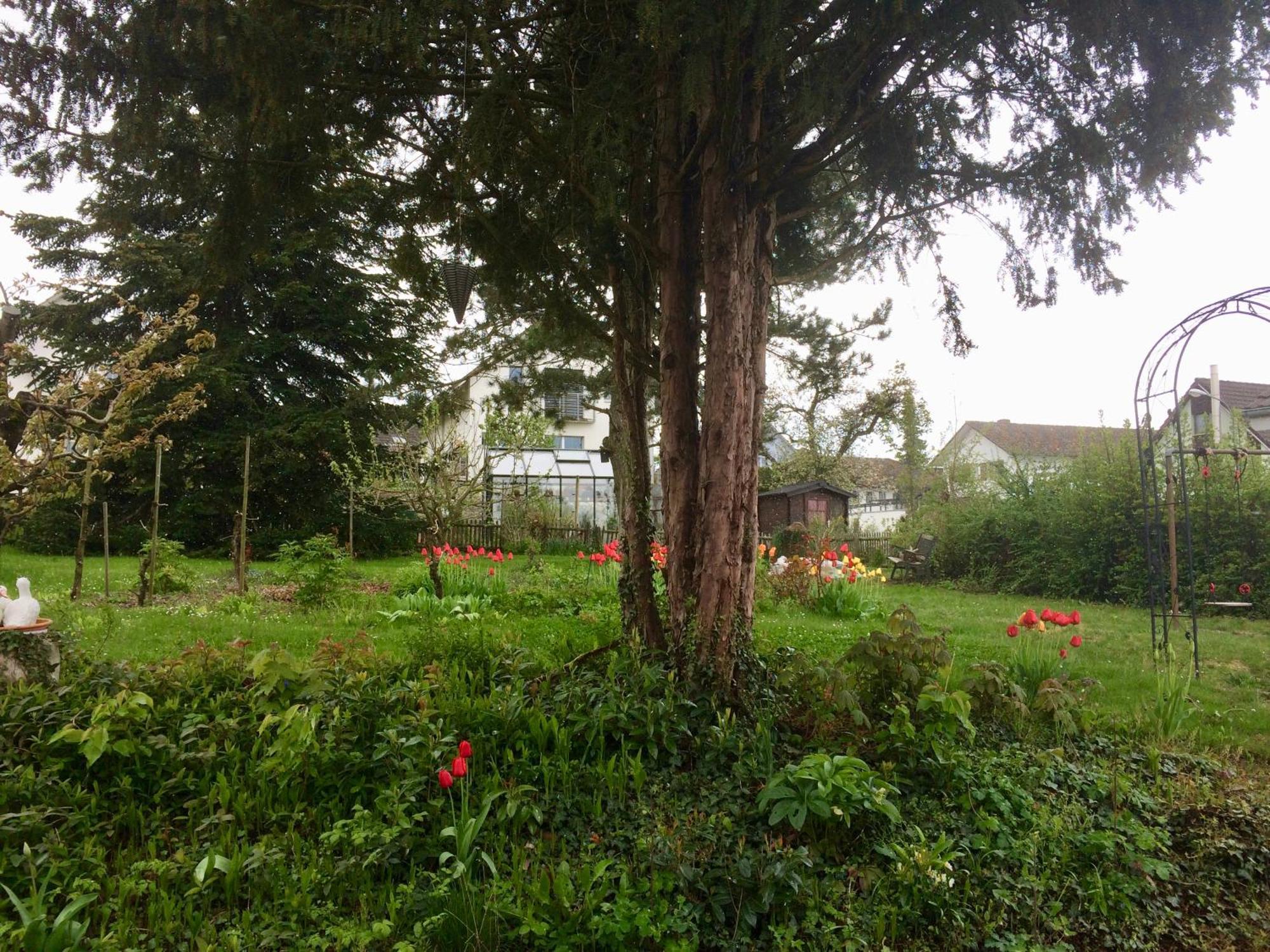 Guntli'S Family Guesthouse Andelfingen المظهر الخارجي الصورة